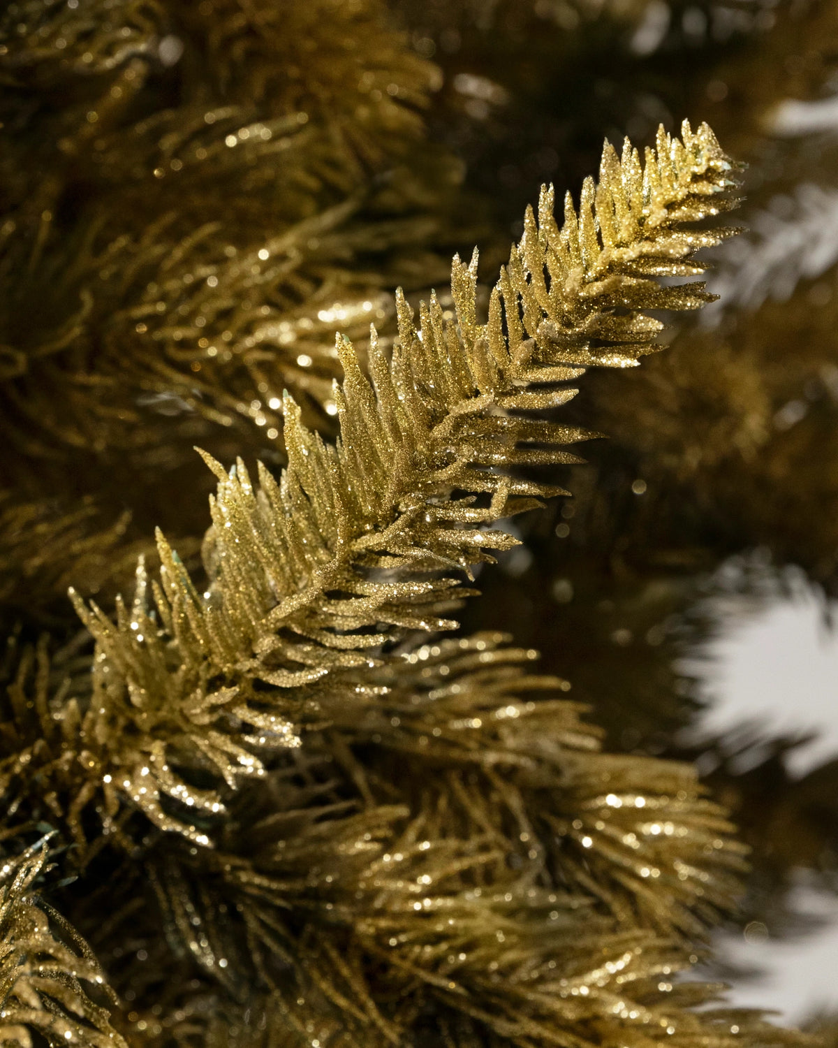 Árvore de Natal Abeto Golden Aspen Estate — 4