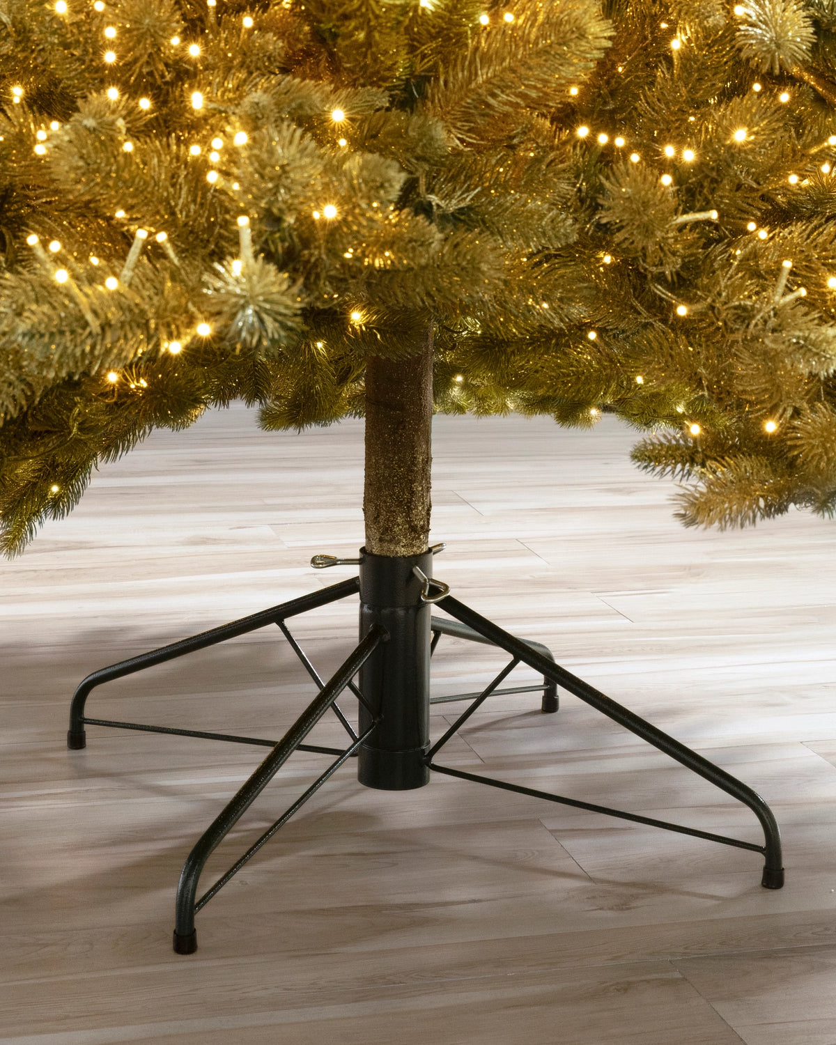 Árvore de Natal Abeto Golden Aspen Estate — 6