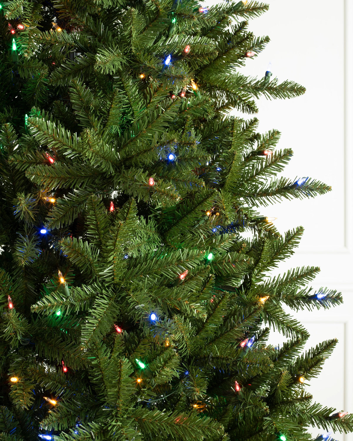 Árvore de Natal Abeto Montanha Berkshire — 4