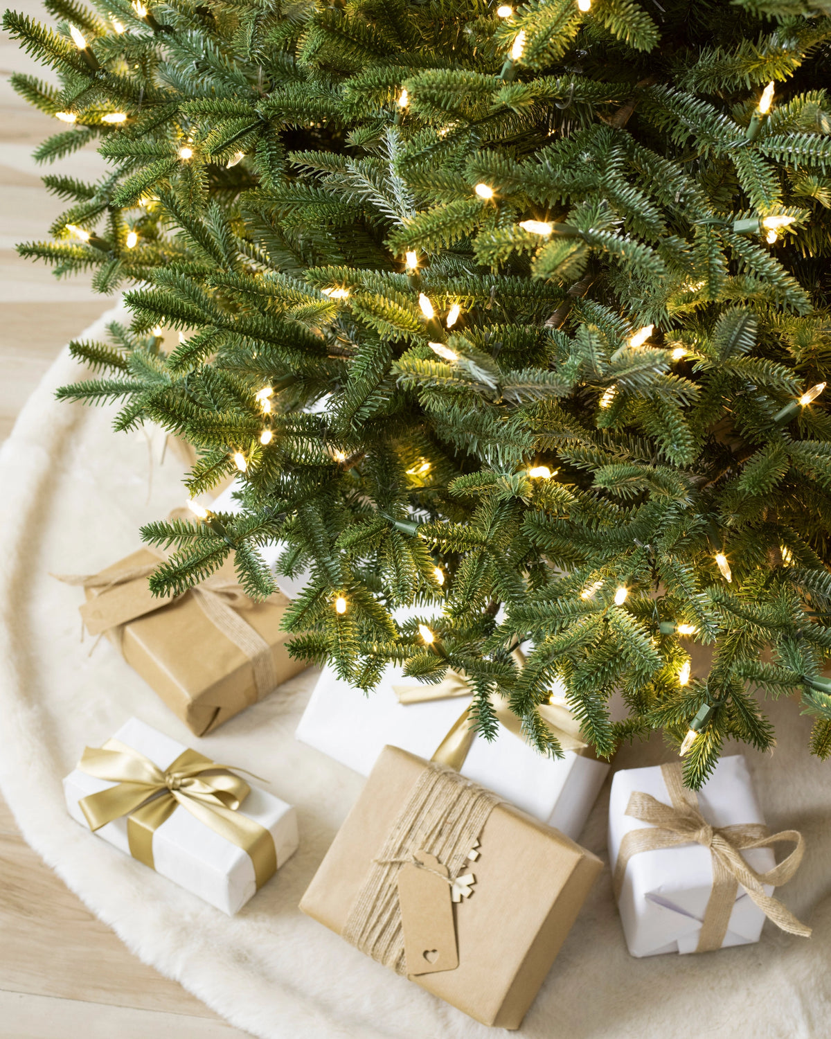 Árvore de Natal Abeto Prateado Europeu — 5