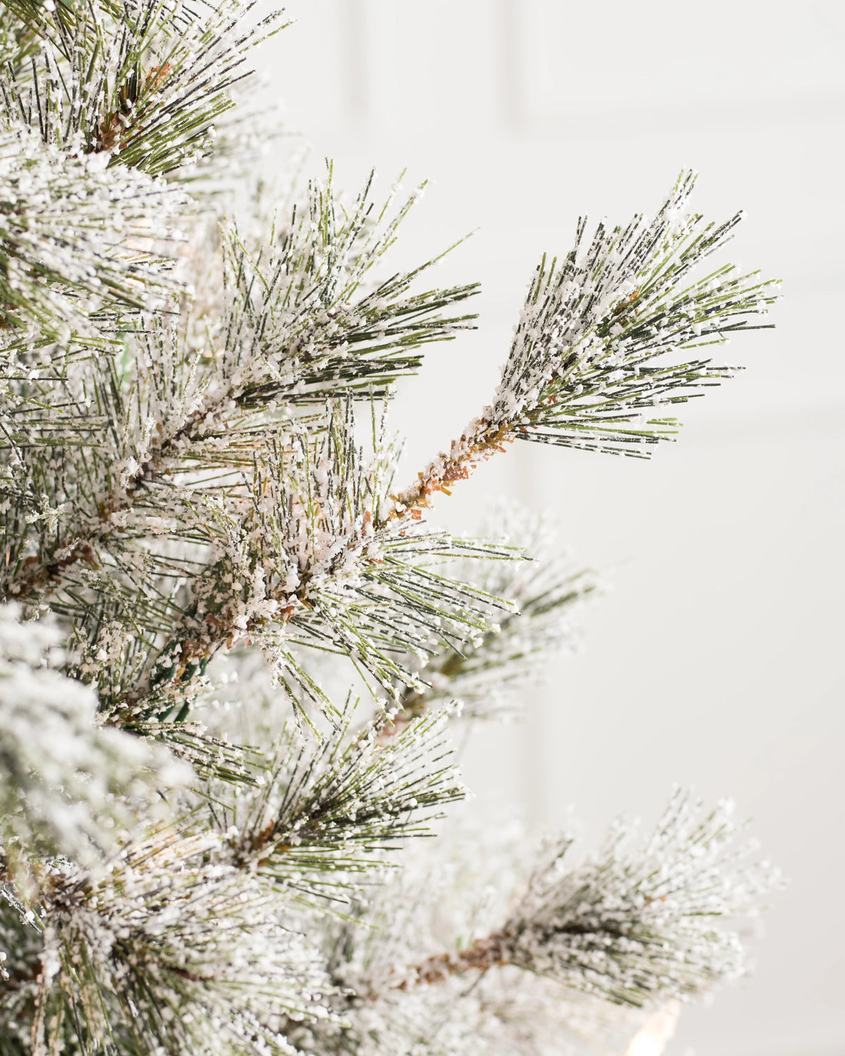 Árvore de Natal Pinheiro Açucarado Nevado — 5
