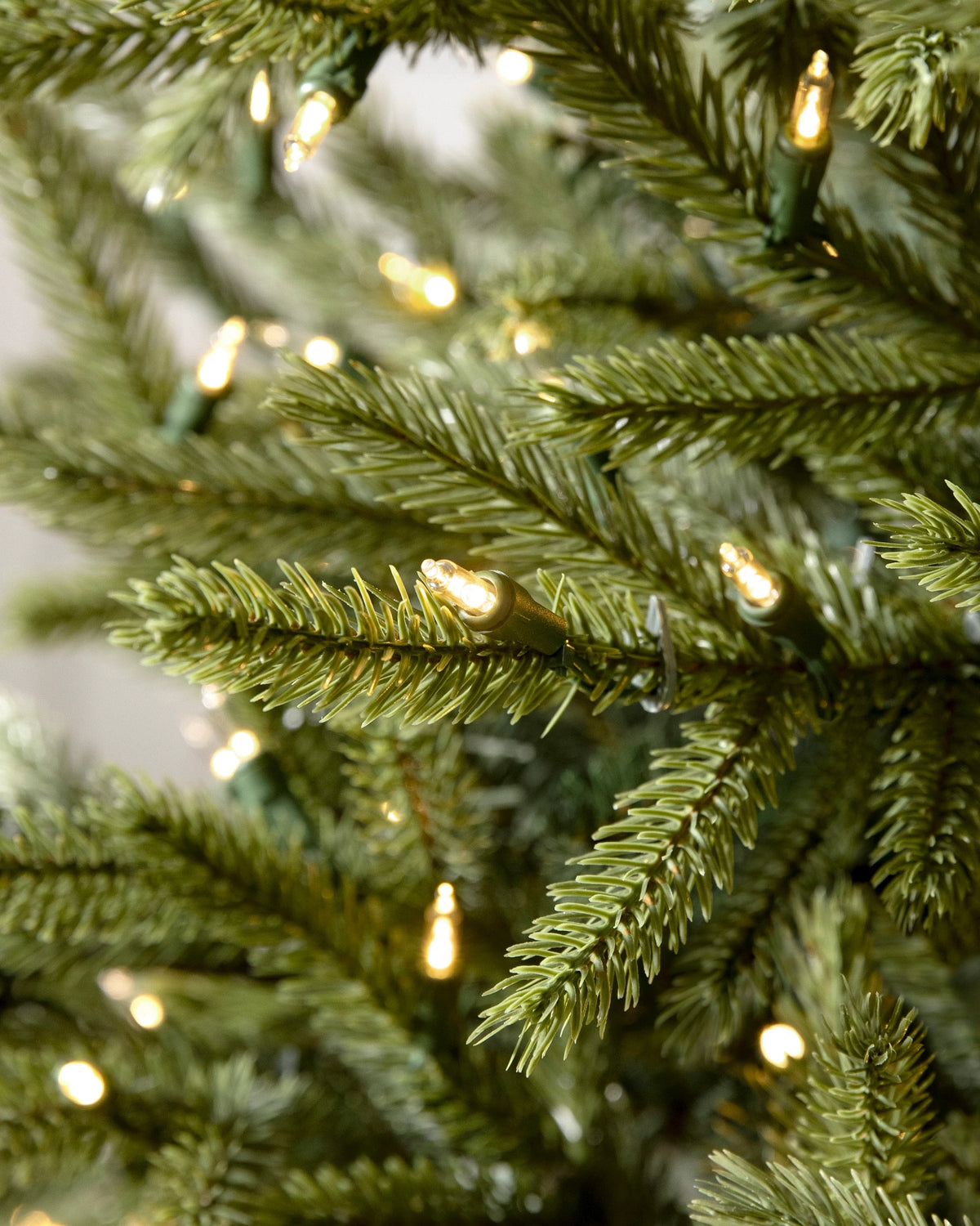 Árvore de Natal Pinheiro Norueguês do Norte — 3