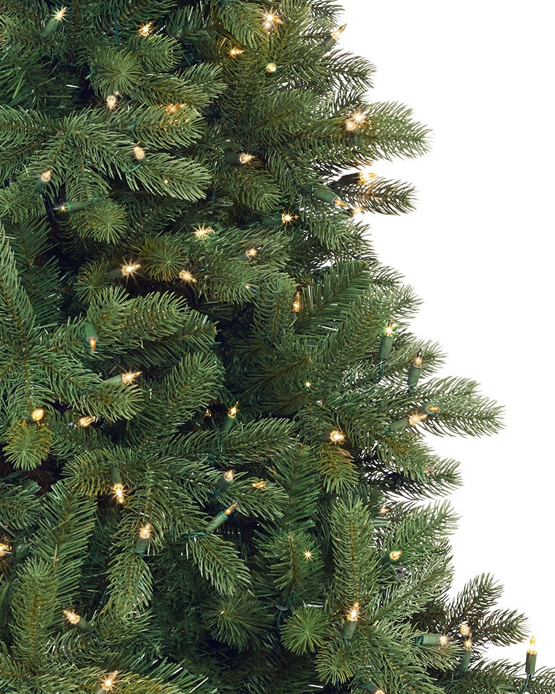 Árvore de Natal Pinheiro Woodland — 5