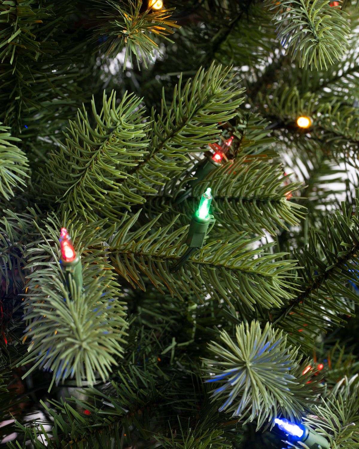 Árvore de Natal Pinheiro Woodland — 6