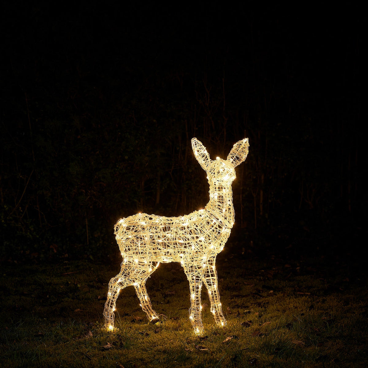 Rena Iluminada Luz Branca — 7