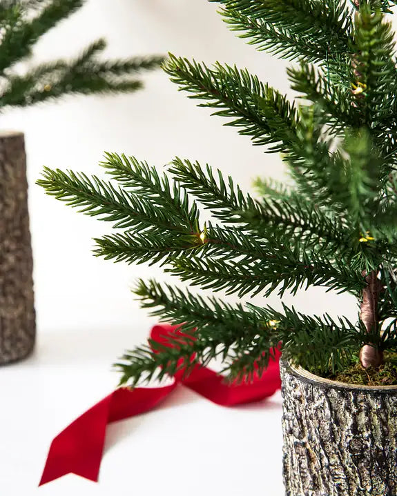 Trio de Mini Árvores de Natal Bosque Encantado Vasos Rústicos com Luzes LED — 3