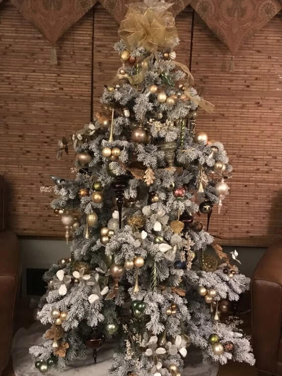 Foto da avaliação